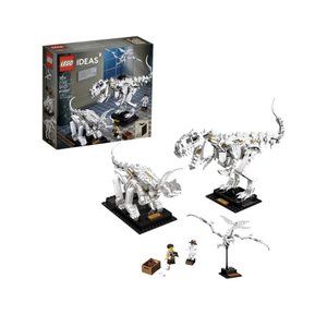 LEGO Ideas Dinosaur Fossils